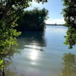 North Captiva Island quiet spot