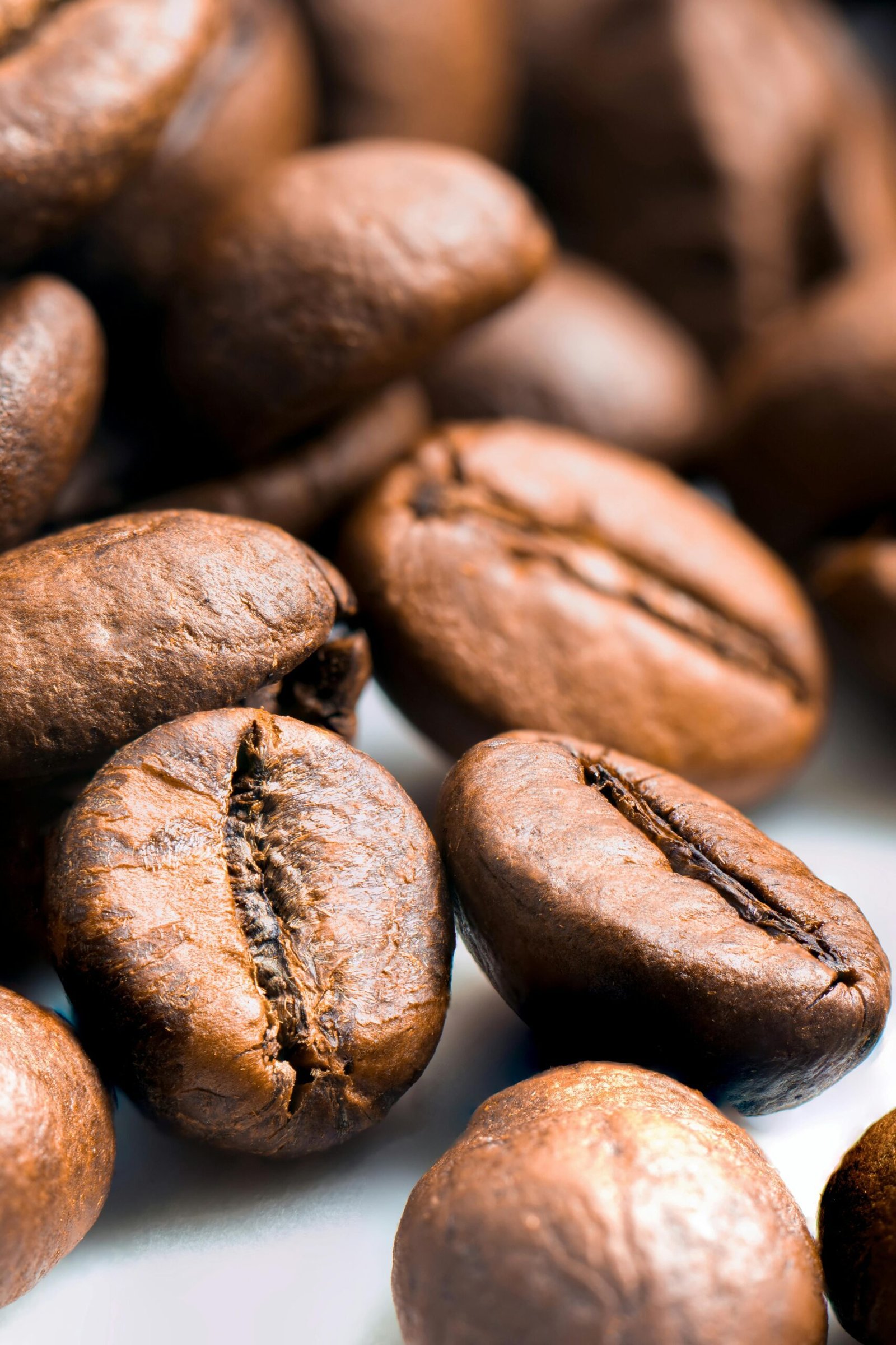 Close-up of roasted coffee beans showcasing texture and freshness.