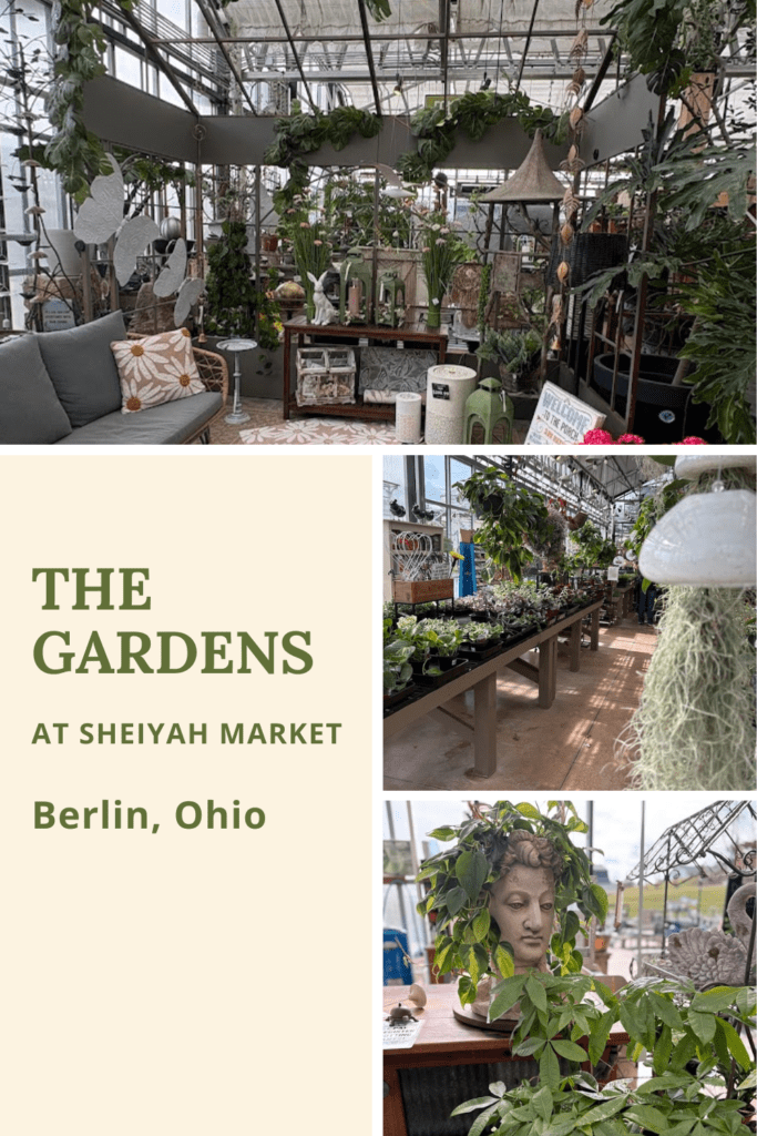 A collage of three images showing The Gardens at Sheiyah Market in Berlin, Ohio. It features a cozy seating area, rows of greenhouse plants, and a unique stone head planter with green trailing leaves.A perfect Day trip to Amish country.