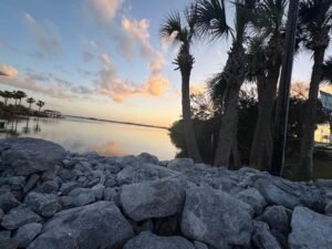 How to Fly to Florida on a Budget: 7 Pro Tips