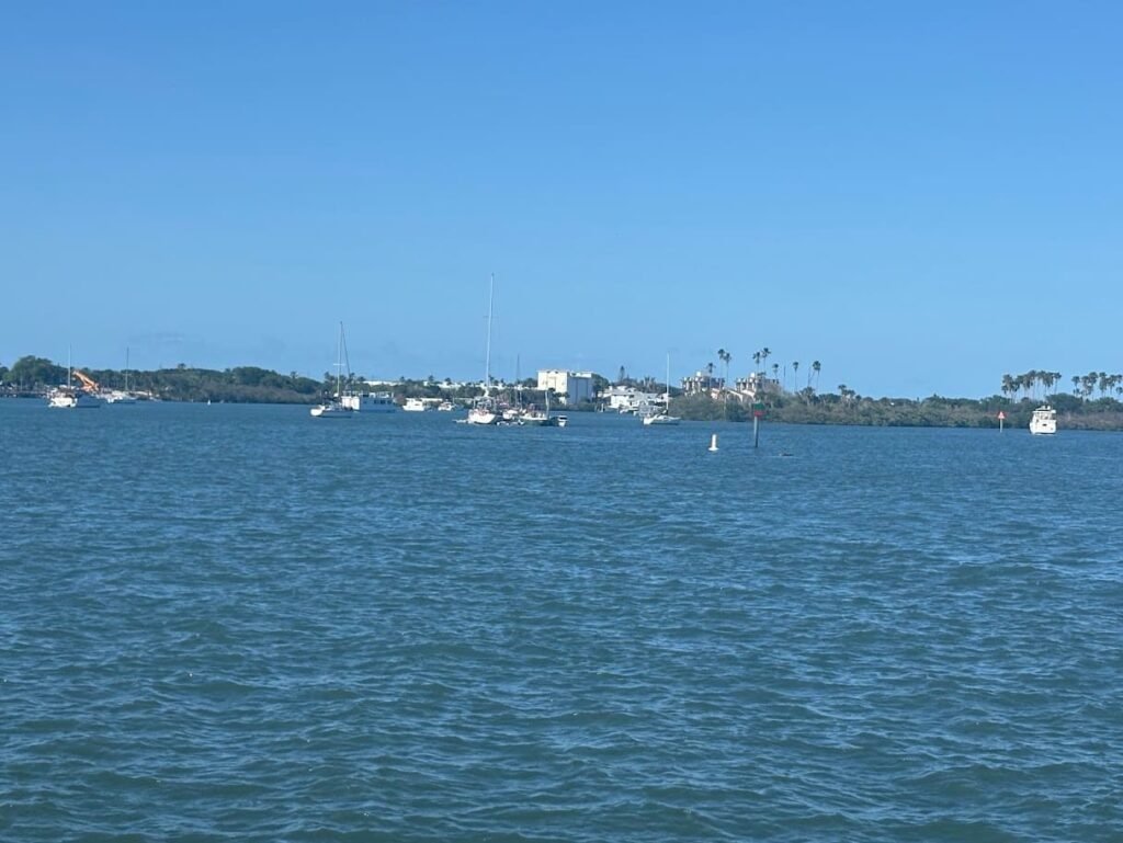 A wide view of the Indian River in New Smyrna Beach under a clear blue sky, with several white sailboats and powerboats anchored in the calm water near a lush green shoreline.