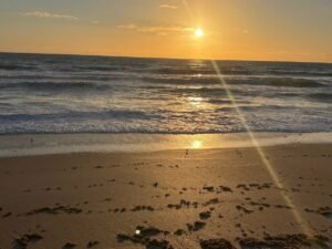 A golden sunrise over the Atlantic Ocean in New Smyrna Beach Florida, showing a peaceful morning shoreline with small waves and shorebirds on the sand. key to your New Smyrna Beach itinerary