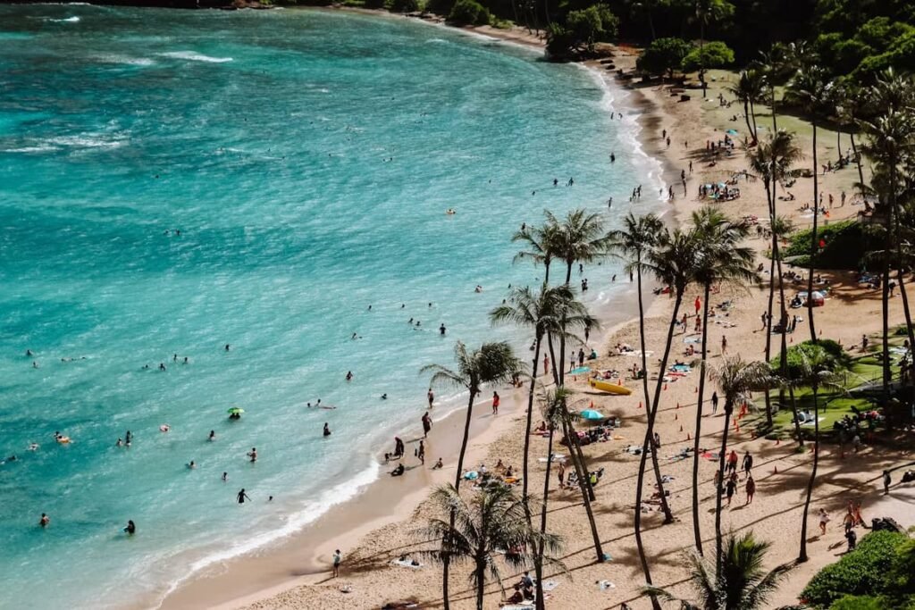 Aerial view of Hanauma Bay beach with snorkelers in turquoise water and palm trees lining the shore — a must on any 3-day Oahu itinerary