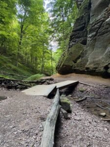 mohican-state-park-trail-wooden-bridge- Mohican State Park hiking day trip