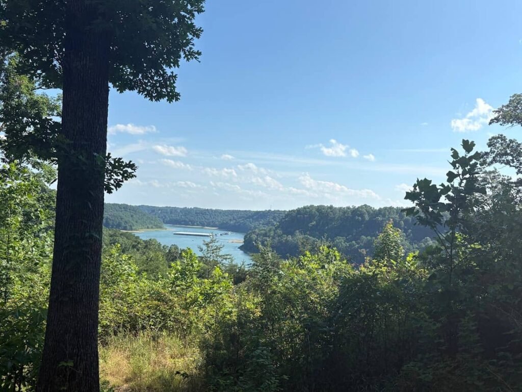 An elevated, scenic overlook view of Lake Cumberland framed by large trees and lush green foliage under a clear blue sky on a summer lake vacation.