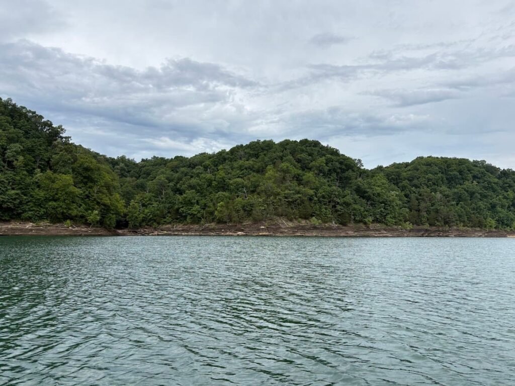 Scenic view of the calm green water and densely forested shoreline during a lake vacation at Lake Cumberland.