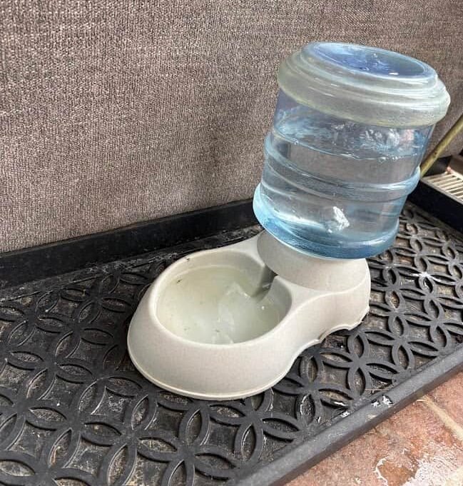 Amazon Basics gravity pet water dispenser — essential item on a road trip packing list for dogs
