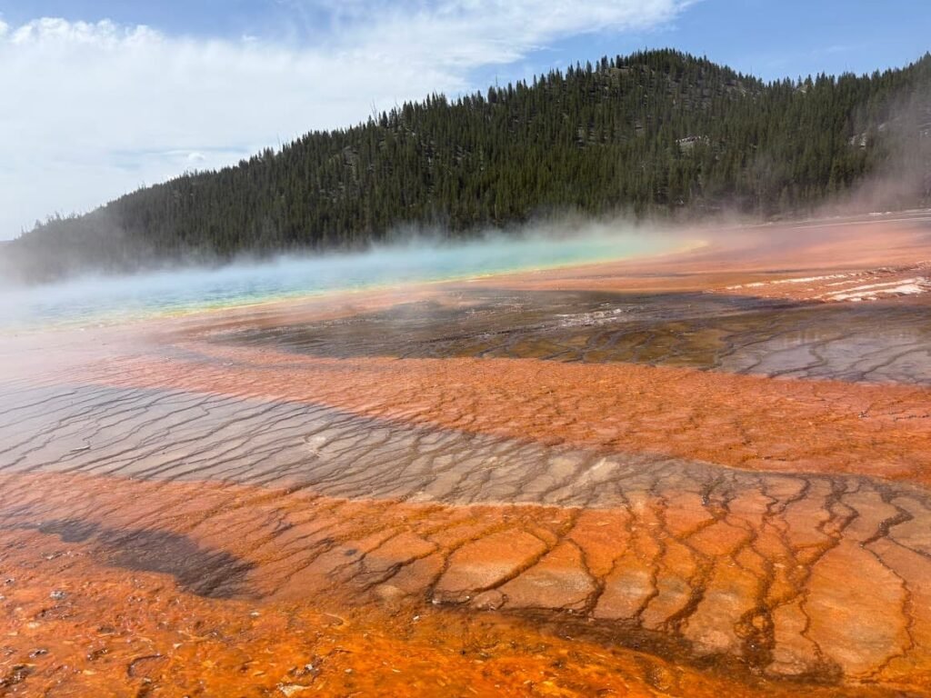 Grand Prismatic Spring bacterial mats showing bright orange and yellow textured patterns in Yellowstone summer.