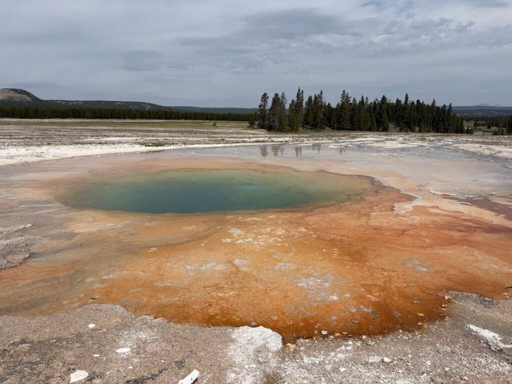 Mustard Spring in Biscuit Basin featuring a deep teal hot pool surrounded by bright orange bacterial mats in Yellowstone National Park.