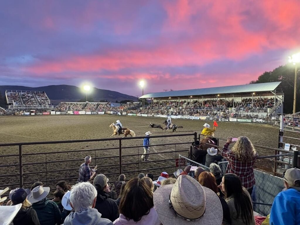 Livingston Roundup Rodeo evening event under a vibrant pink and purple sunset sky with cowboys roping in the arena.