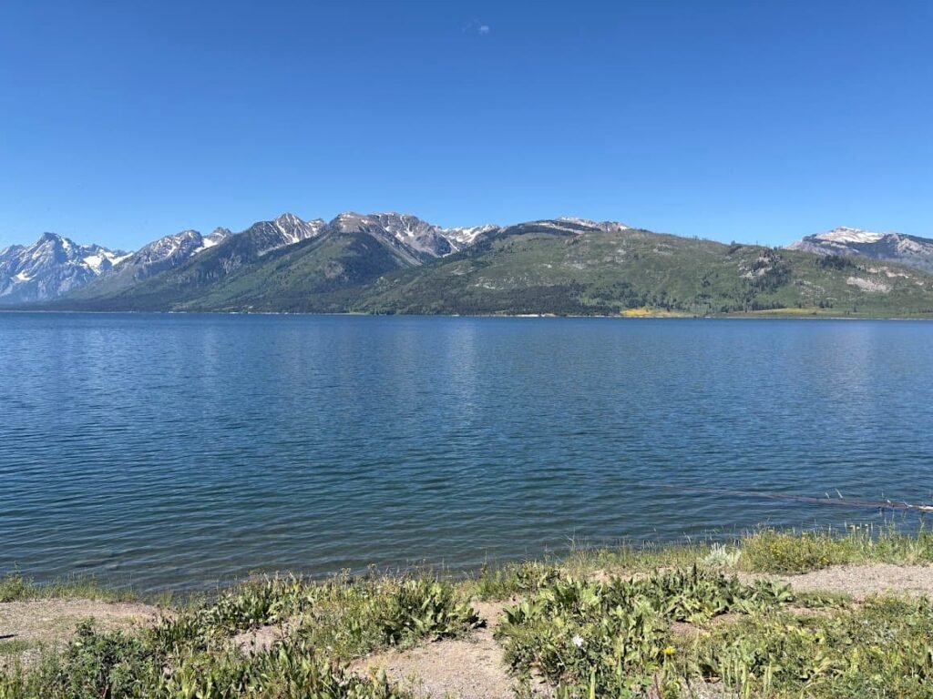 Jackson Lake with the Grand Teton mountain range stretching across the horizon under a clear blue sky in summer.