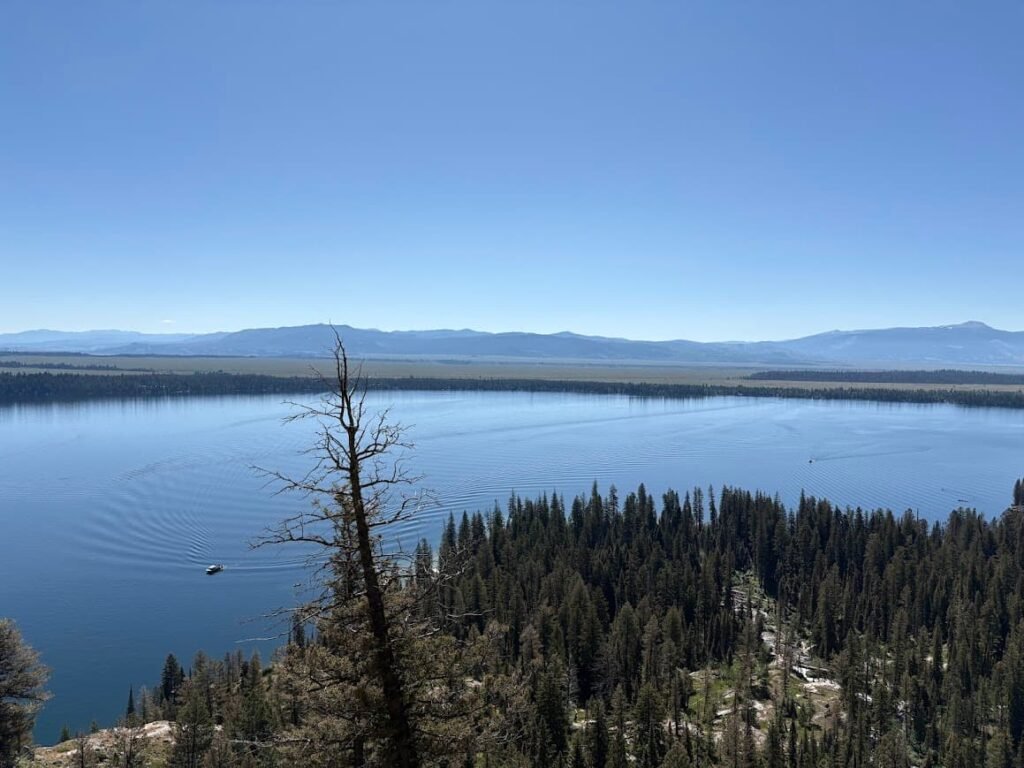 Jenny Lake overlook view from a high hiking trail showing a boat on the water surrounded by evergreen forests in Grand Teton National Park.