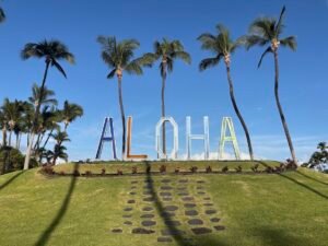 Large ALOHA letter sign framed by tall palm trees on a grassy hill under a bright blue Hawaii sky.